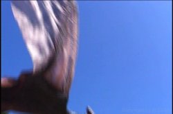 Captura de 'Lust World' nº 43