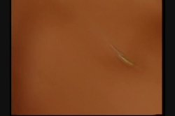 'Ben Dover's End Games' screenshot nº 82
