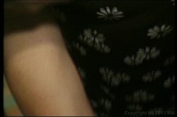 'Golden Oldies 8' screenshot nº 65