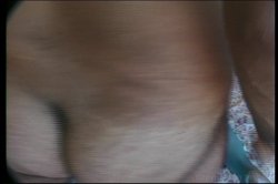 'Golden Oldies 8' screenshot nº 29