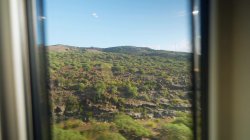 'Swamebus #4Tenerife' screenshot nº 69