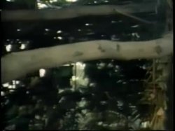 Captura de 'Five On One, I Fucked 'Em All' nº 129