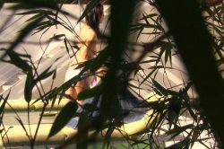 'Sex With Young Girls 12' screenshot nº 137
