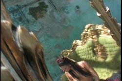 Captura de 'Fragile 2 - Reflections' nº 9