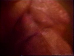'Sorority Sluts Vol. 2' screenshot nº 60
