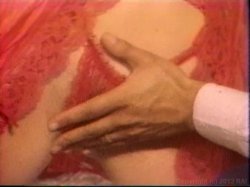 'Sorority Sluts Vol. 2' screenshot nº 74