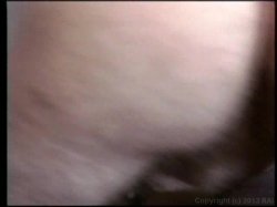 Captura de 'Seymore Butts Goes Nuts' nº 77