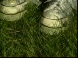 Captura de 'Sugarwalls #5' nº 6