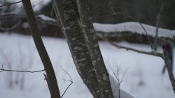 'Winter Magic, Adventure's Best by Laura Quest S02E01' screenshot nº 17