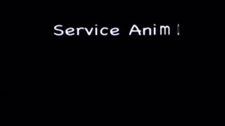 Service Animals 19 - Scena1 - 1