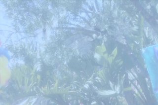 Bree&#39;s Beach Party 2 - Scène3 - 6