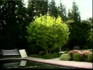 Interracial Virgins 3 - Escena3 - 3