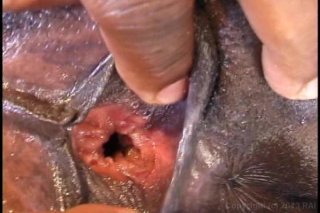 142 More Inches Of Black Cock - Scena2 - 3