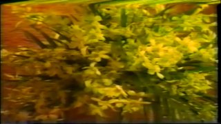 World Of Confusion Vol 17 - Scena4 - 1