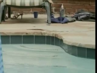 Clean Shaved Mexican Pussies - Szene11 - 4