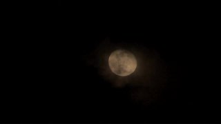 Versaute Edelnutten 6 - Scene9 - 6