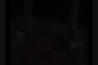 Cum Swallowing Whores 2 - Escena3 - 1