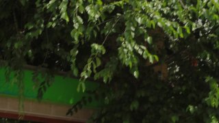 Budapest Kiss - Scene5 - 1
