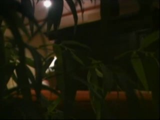 Official Britney and Anna Sex Tape!, The - Scene1 - 3