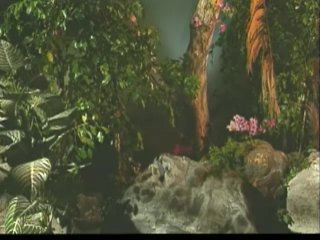 Depraved Fantasies 2 - Scene1 - 2
