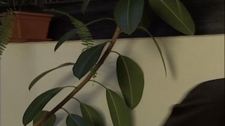 Hilfe, Klaus Fickt Uns Alle - Scena5 - 3
