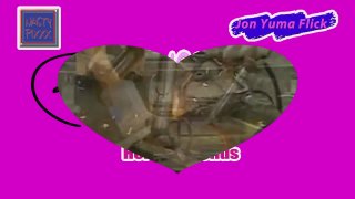 Pussy Lust 9 - Szene2 - 1