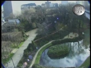 Immer Wieder- Ein Geiles Abenteur - Scene4 - 1