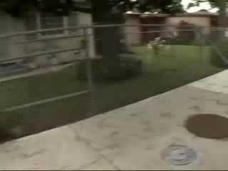 John Dough&#39;s All Time Favorite Titties - Scene18 - 4