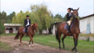 Russian Institute: Lesson 11 (French) - Escena2 - 2