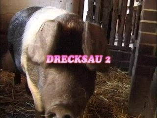 Drecksau 2 - Perverse Kleine Schweinchen - Scene2 - 1