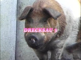 Drecksau 2 - Perverse Kleine Schweinchen - Scene2 - 6
