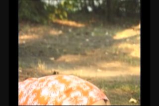Real Lesbian Amateurs - Scene2 - 2