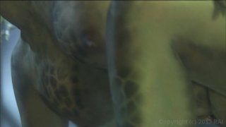 Candelabra - Scene2 - 5
