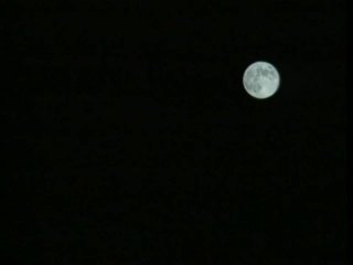 Night Breed - Scene4 - 6