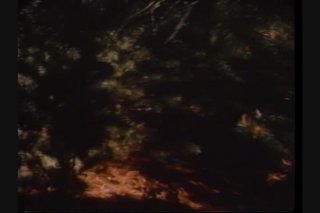 Diamond Collection 27 - Scene5 - 1