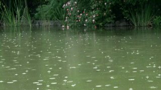 Blossoming Love 2 - Escena7 - 1