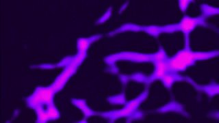 100% Masturbations 6 - Scène3 - 1