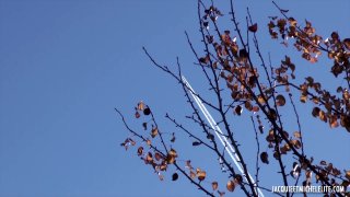 J&amp;M Airlines - Scene3 - 1