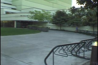 Seattle Hairy Girls 35 &amp; 36 - Scene6 - 1