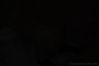 White Dicks In Black Chics Vol. 9 - Scene4 - 6