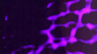 Fantasies 3 (Softcore) - Scène3 - 6