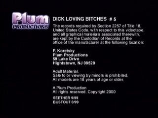 Dick Loving Bitches Vol. 5 - Best Seat In The House - Escena24 - 6