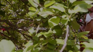 Natural 6 - Scene3 - 1