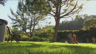 Dog Walker, The - Scena5 - 6