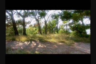Summer Wind - Scene7 - 2