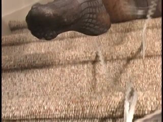 Pantyhose Foot Frenzy #1 - Scène10 - 5