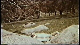 Peepshow Loops 45: 1970&#39;s (Color) - Cena2 - 2