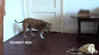 Mummy Mia - Scena5 - 1