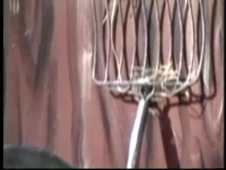 Priscilla the Hung - Scena7 - 1