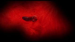 Chaos - Scene2 - 6